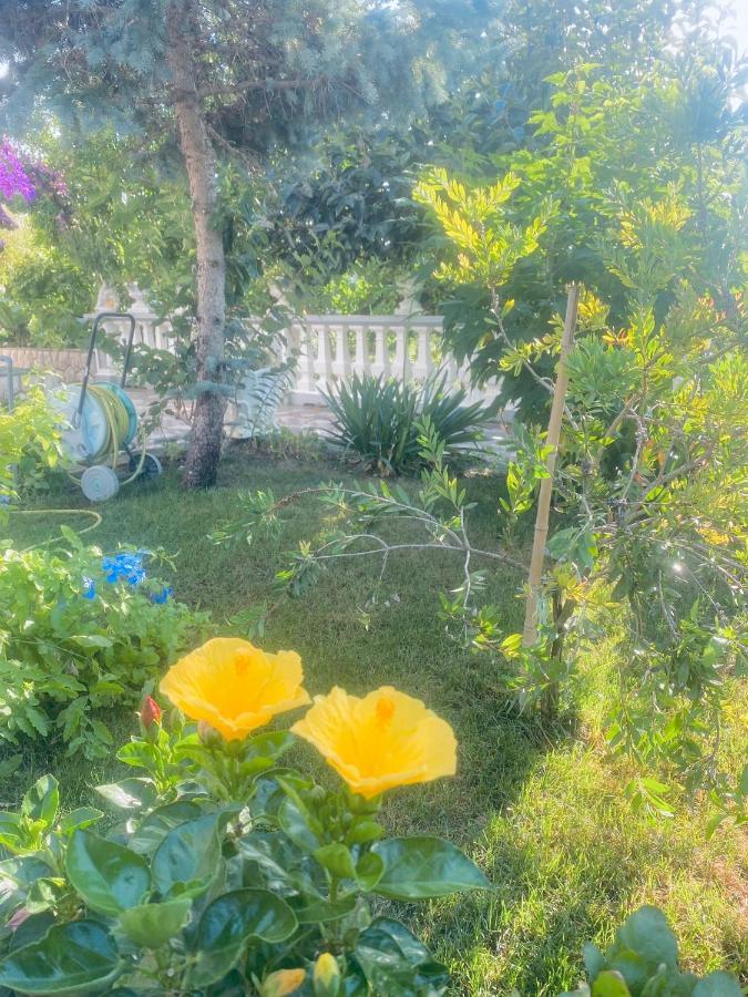 Apartmani Rab Kampor Exteriér fotografie